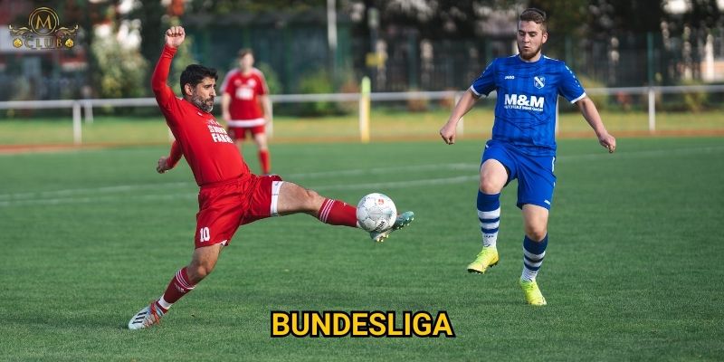 Tại sao bundesliga được yêu thích tại Mclub?