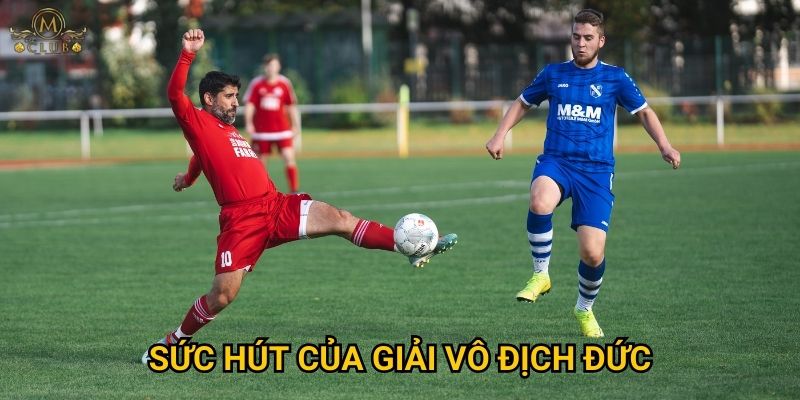 Tại sao bundesliga được yêu thích tại Mclub? 2 Sức hút của giải vô địch Đức