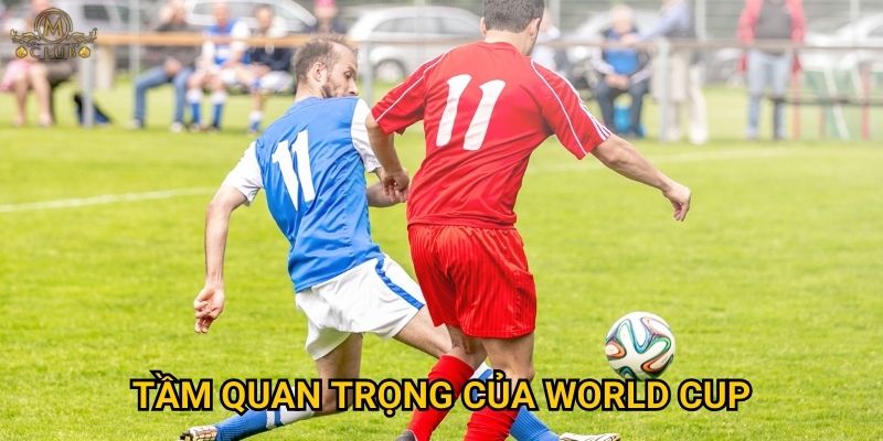 Tầm quan trọng của World Cup